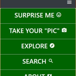 A high fidelity mock up of a mobile application screen from "In Their Own Words" using HTML and CSS
